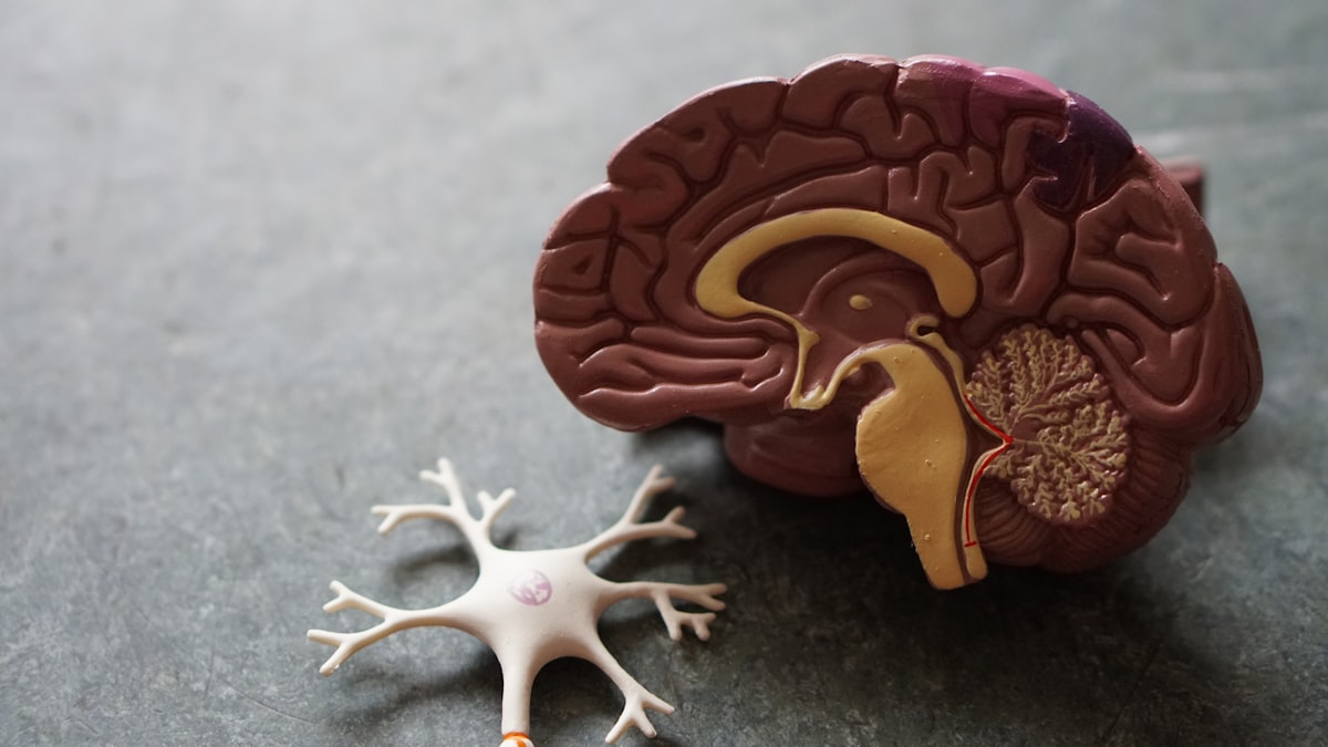 Neurology & Brain Care - Realistic DSLR Clinical Camera View | MANYACARE HealthCity Neurology & Brain Care - Realistic DSLR Clinical Camera View | MANYACARE HealthCity